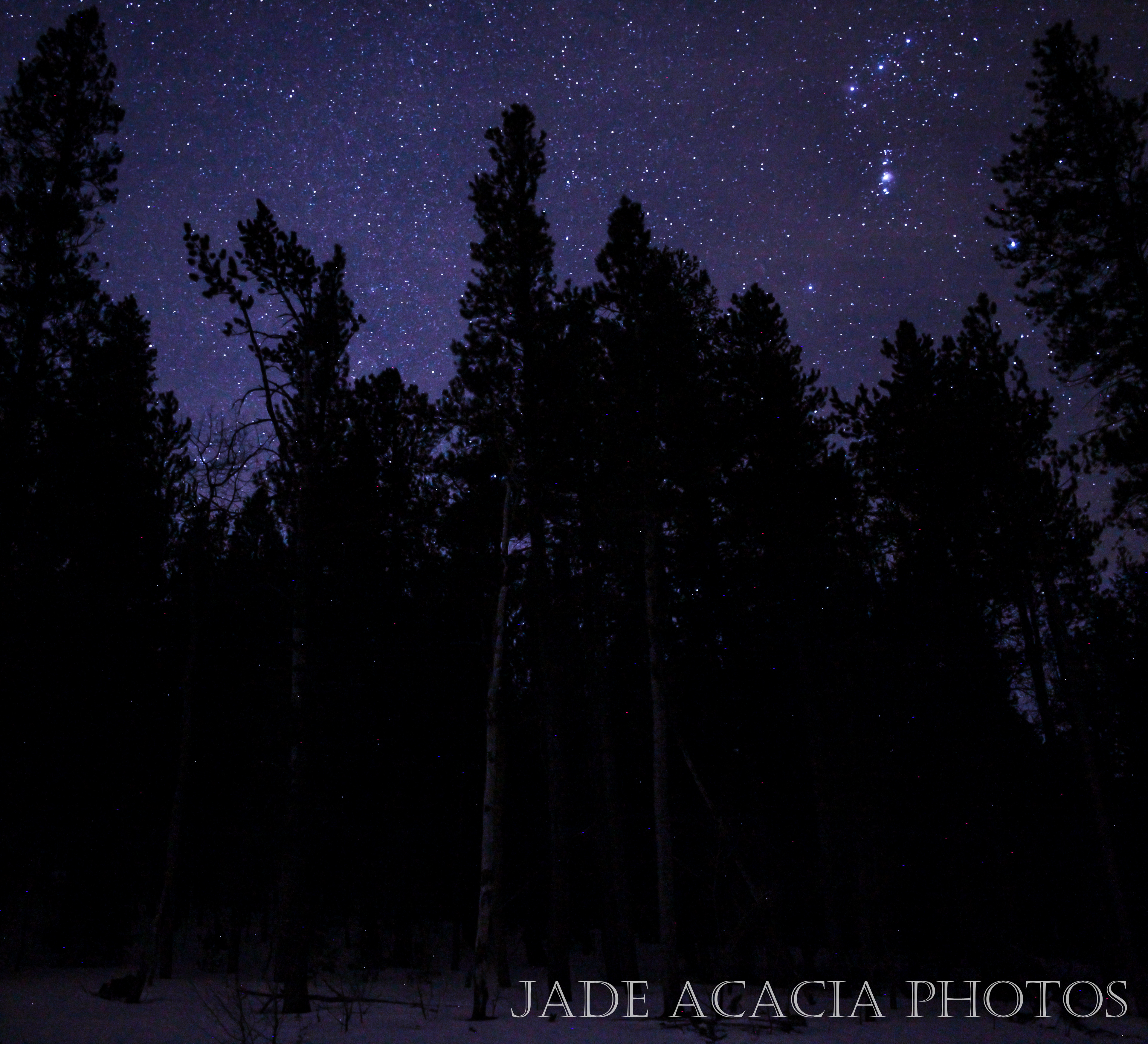 Title: S116 - Orion Constellation (upside down)