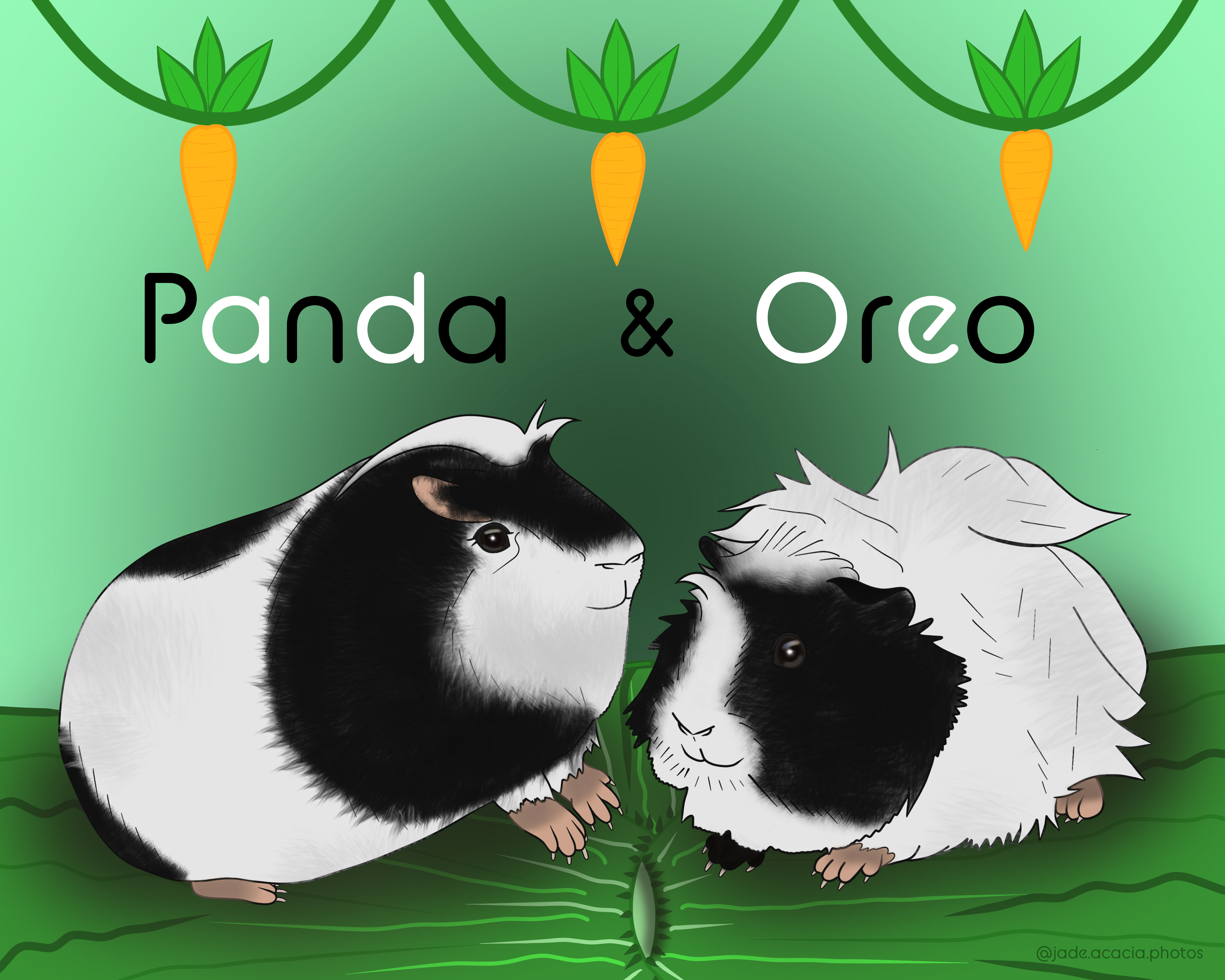 A 16" x 20" commission, Panda and Oreo: American and Abyssinia