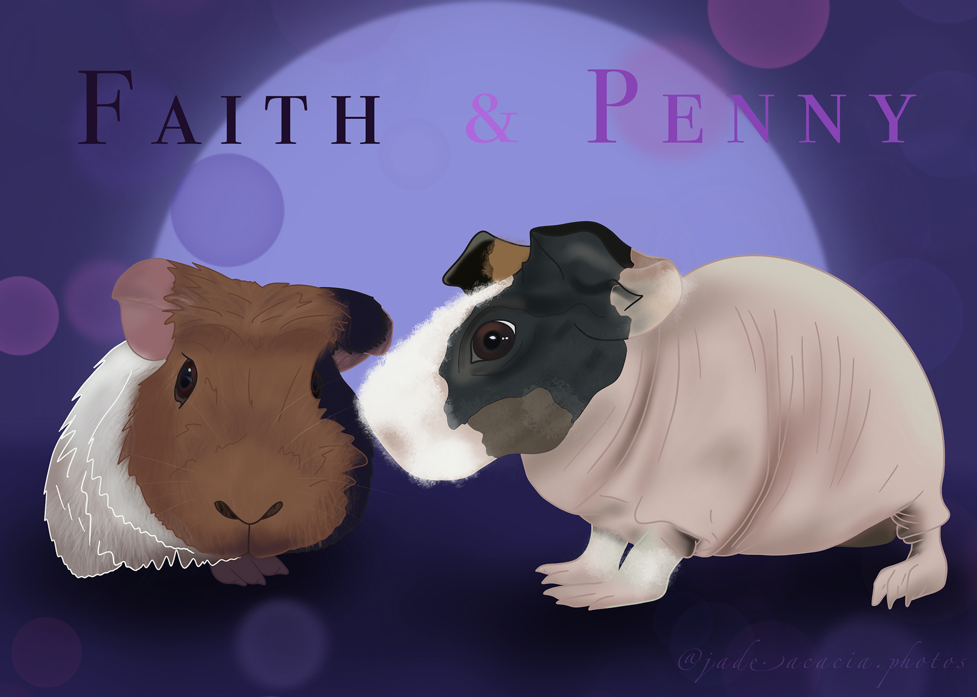Content Warning! Naked Piggie!