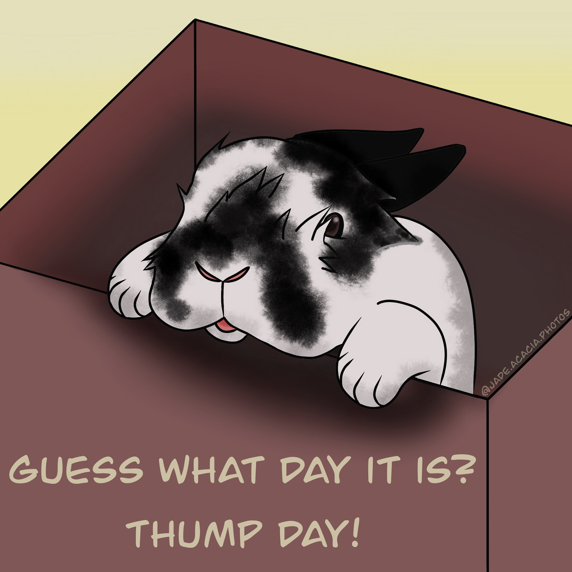 Guess what day it is?