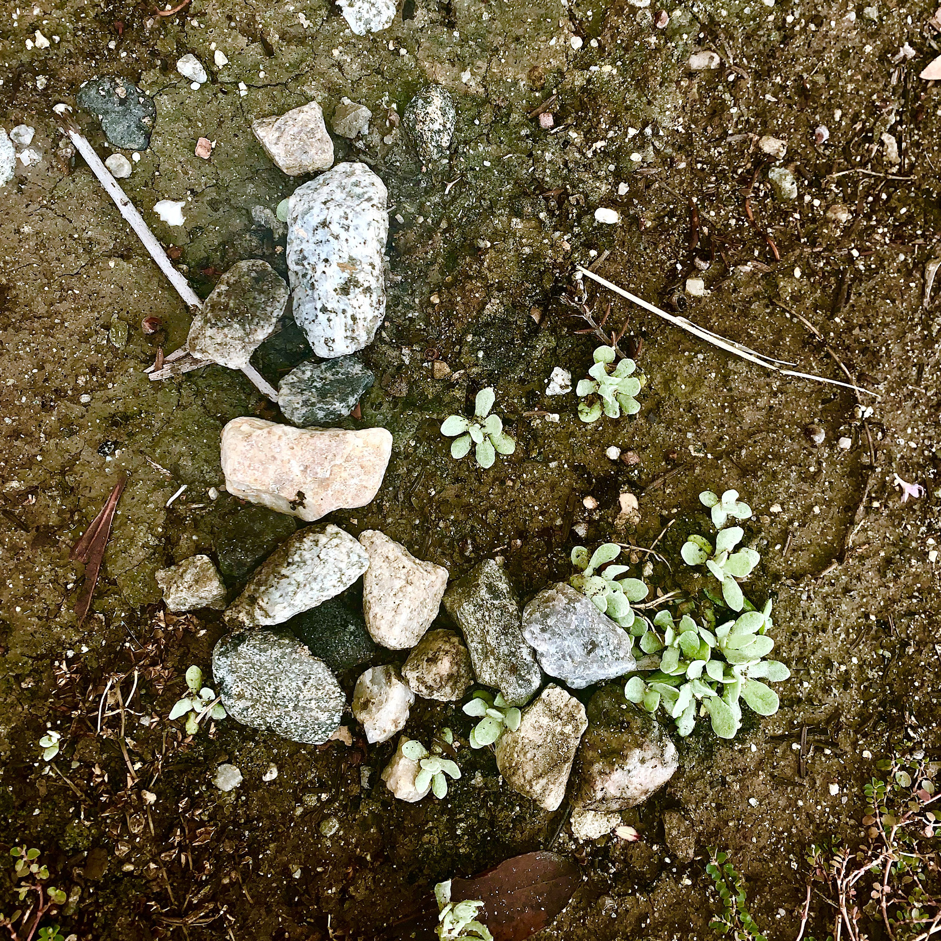 Land Art