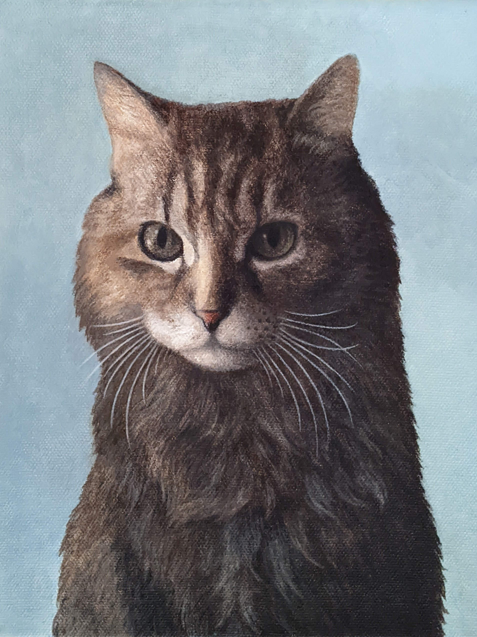 Brown Cat (acrylic)