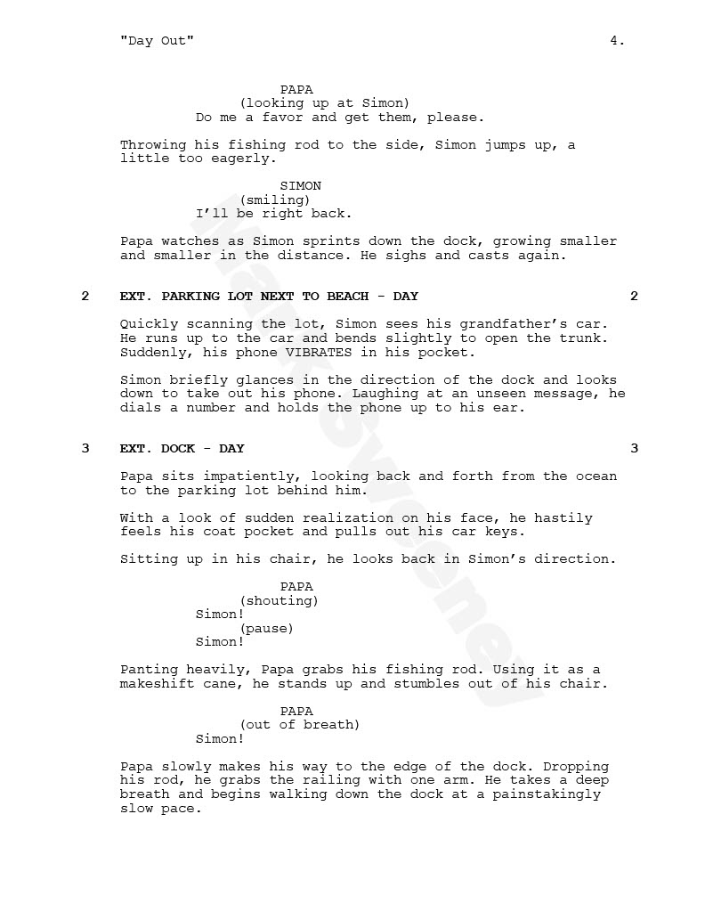 Day Out: Short Film Screenplay (4)