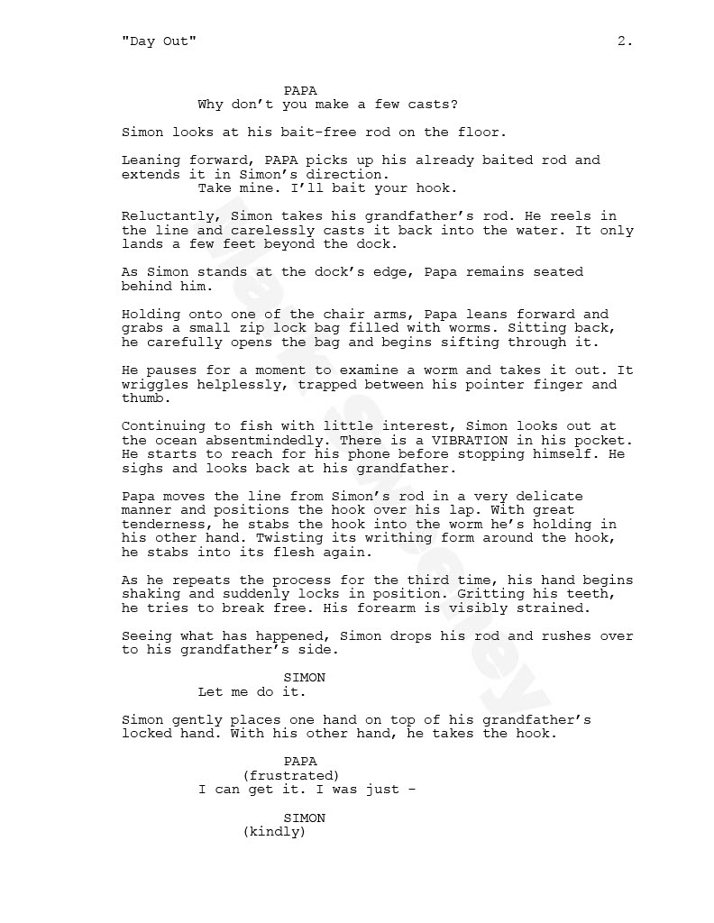 Day Out: Short Film Screenplay (2)