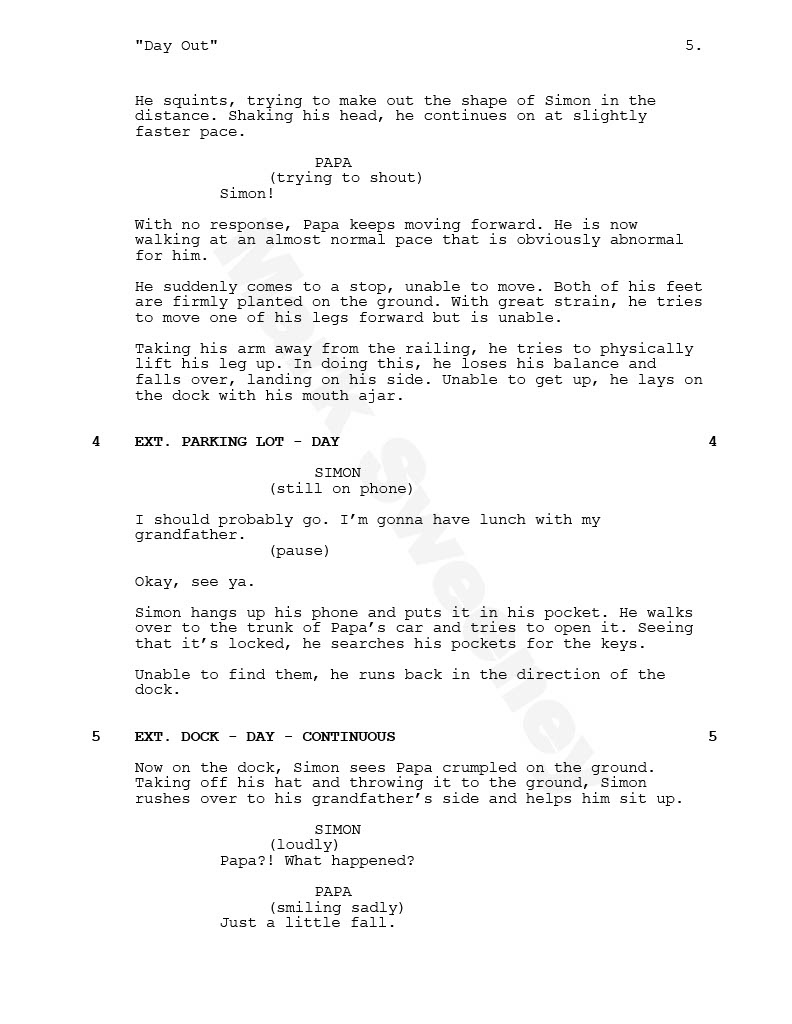 Day Out: Short Film Screenplay (5)