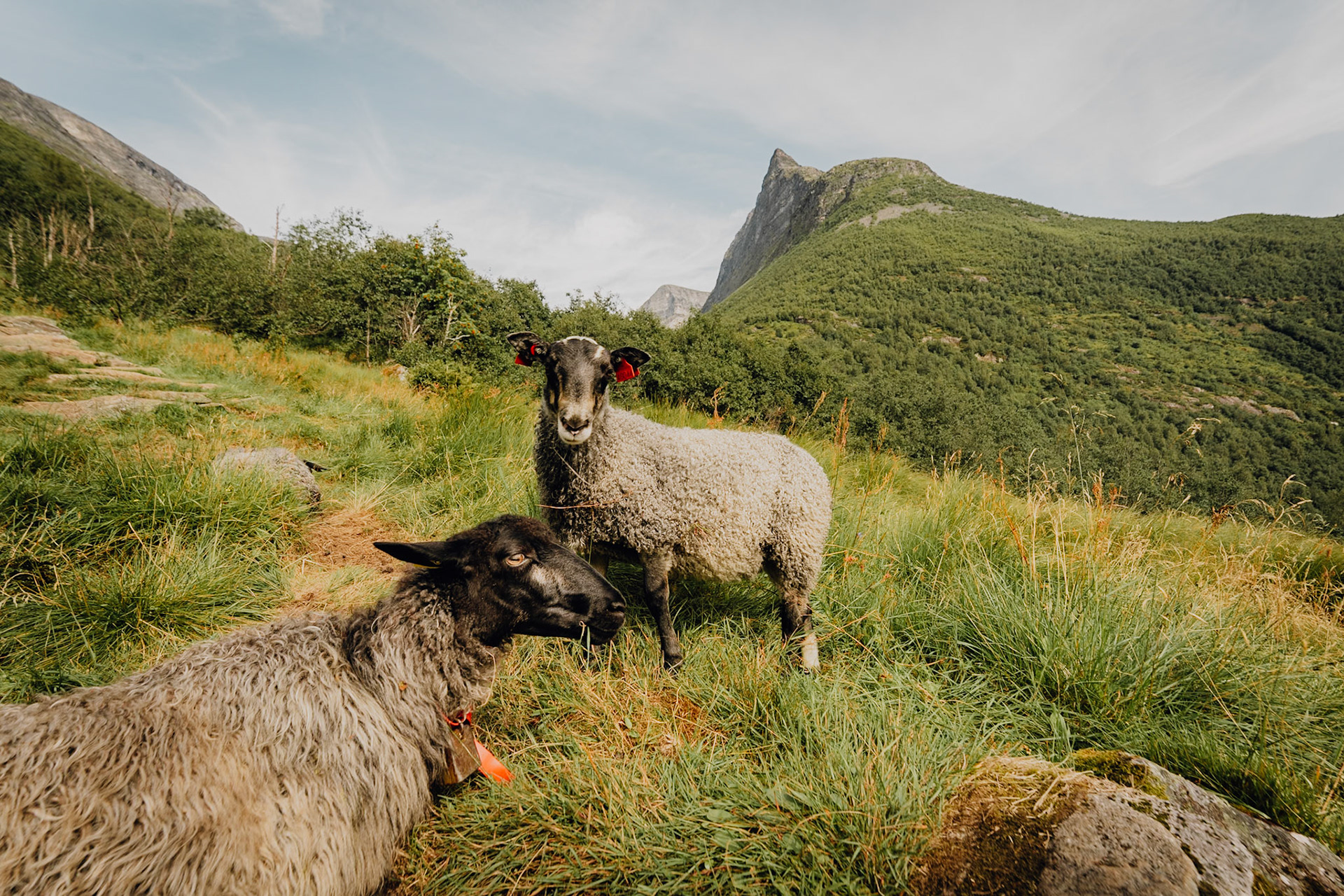 Storsæterfossen trail