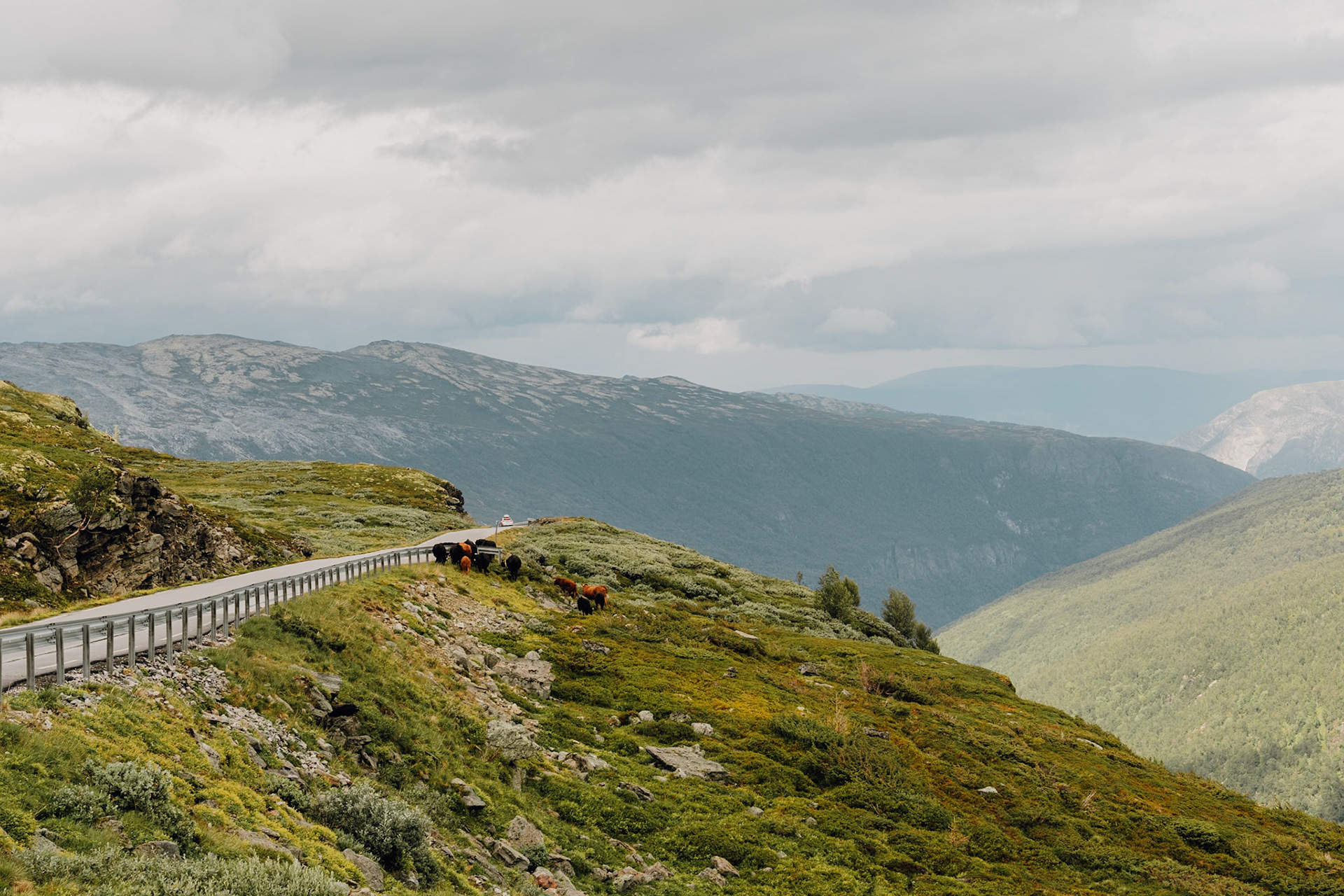 Aurlandsfjellet Scenic Route