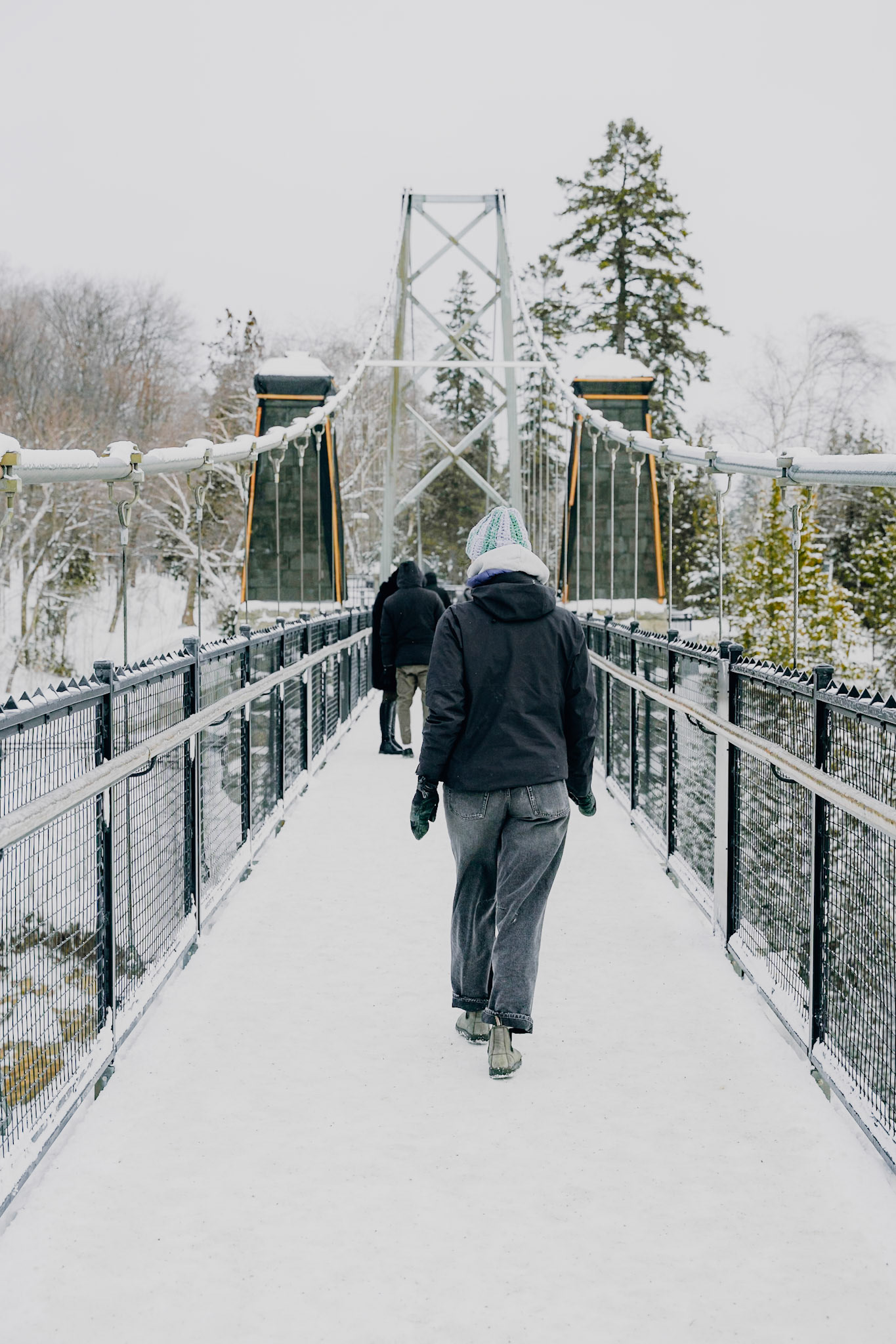 Above the Montmorency falls.