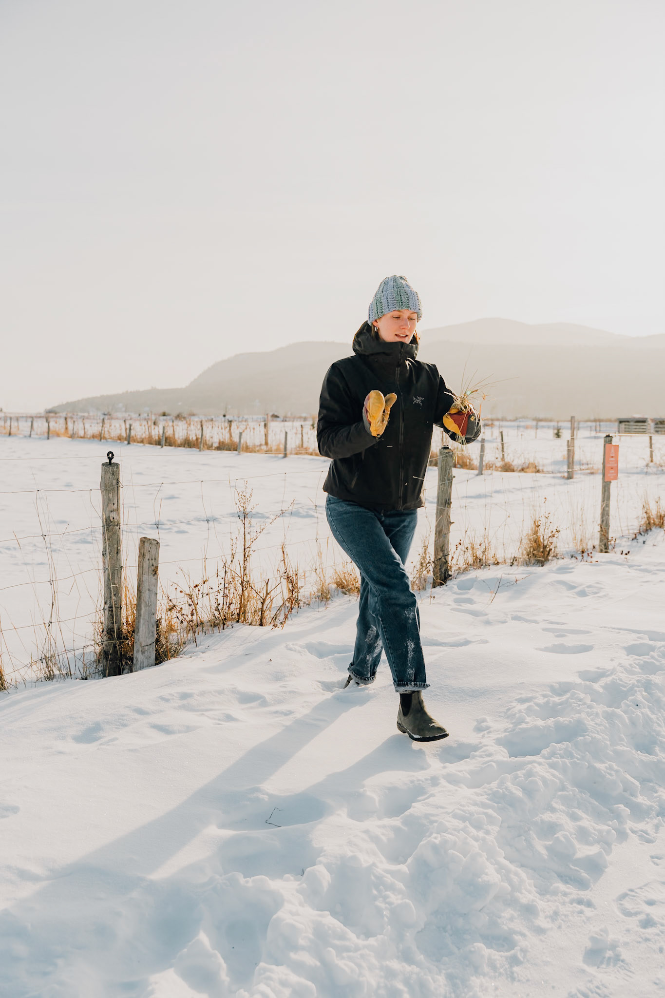 Getting grass to feed the cows. 