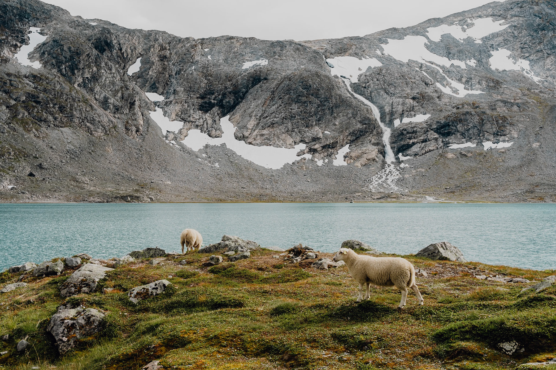 Gamle Strynefjellsvegen road