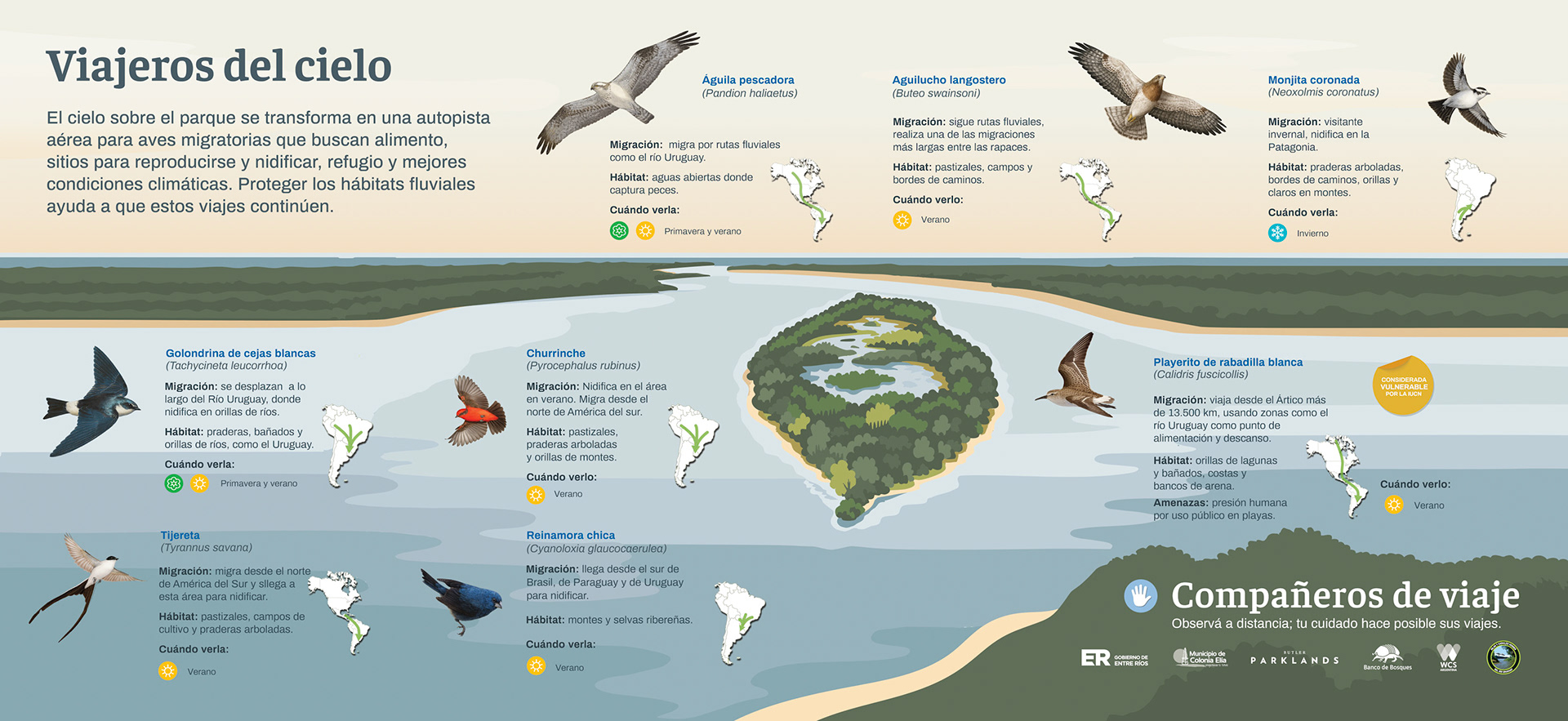 04 aves migratorias