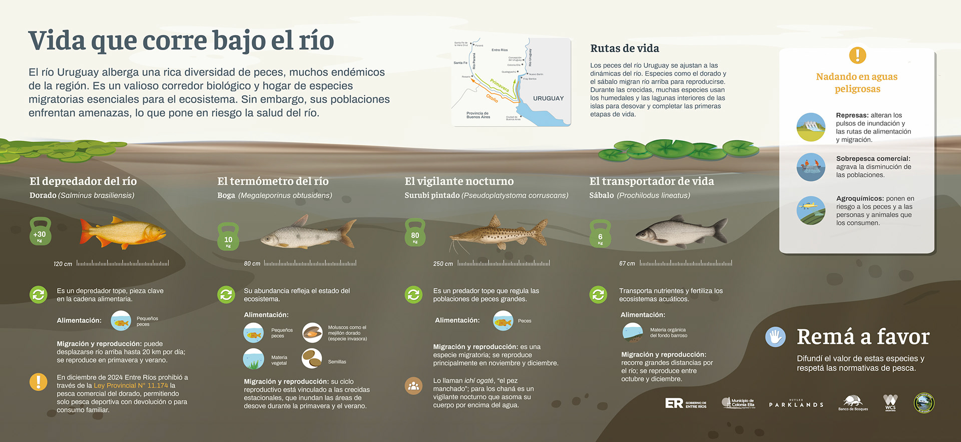 04 Vida que corre bajo el río