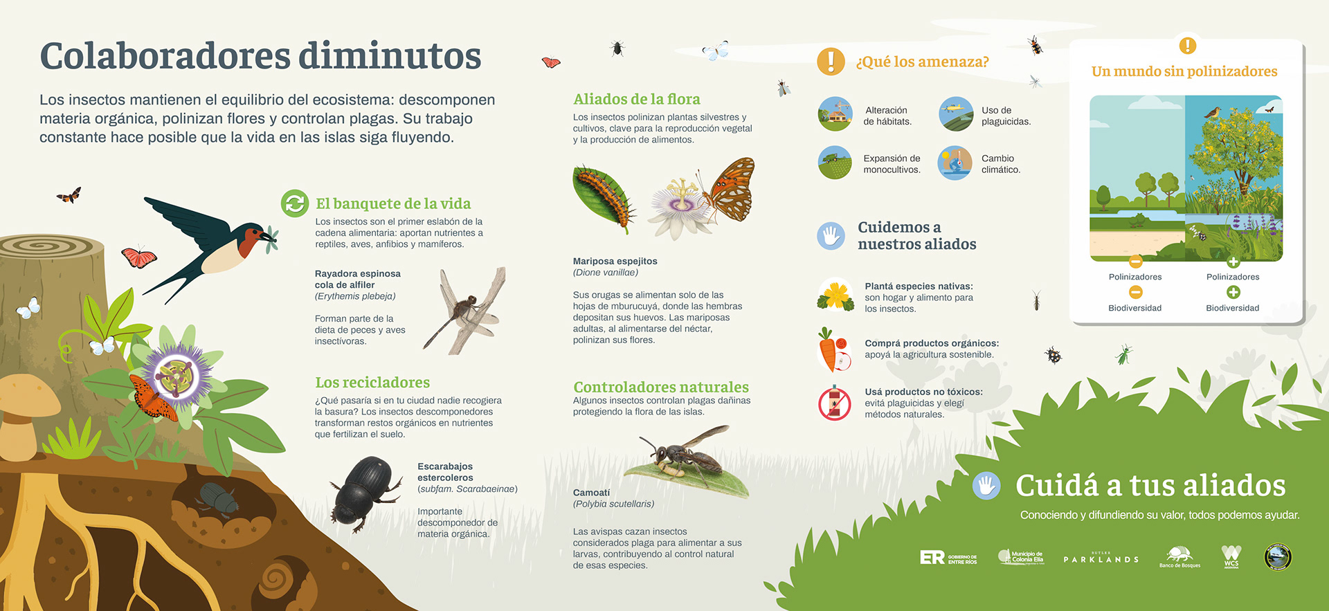 07 colaboradores diminutos