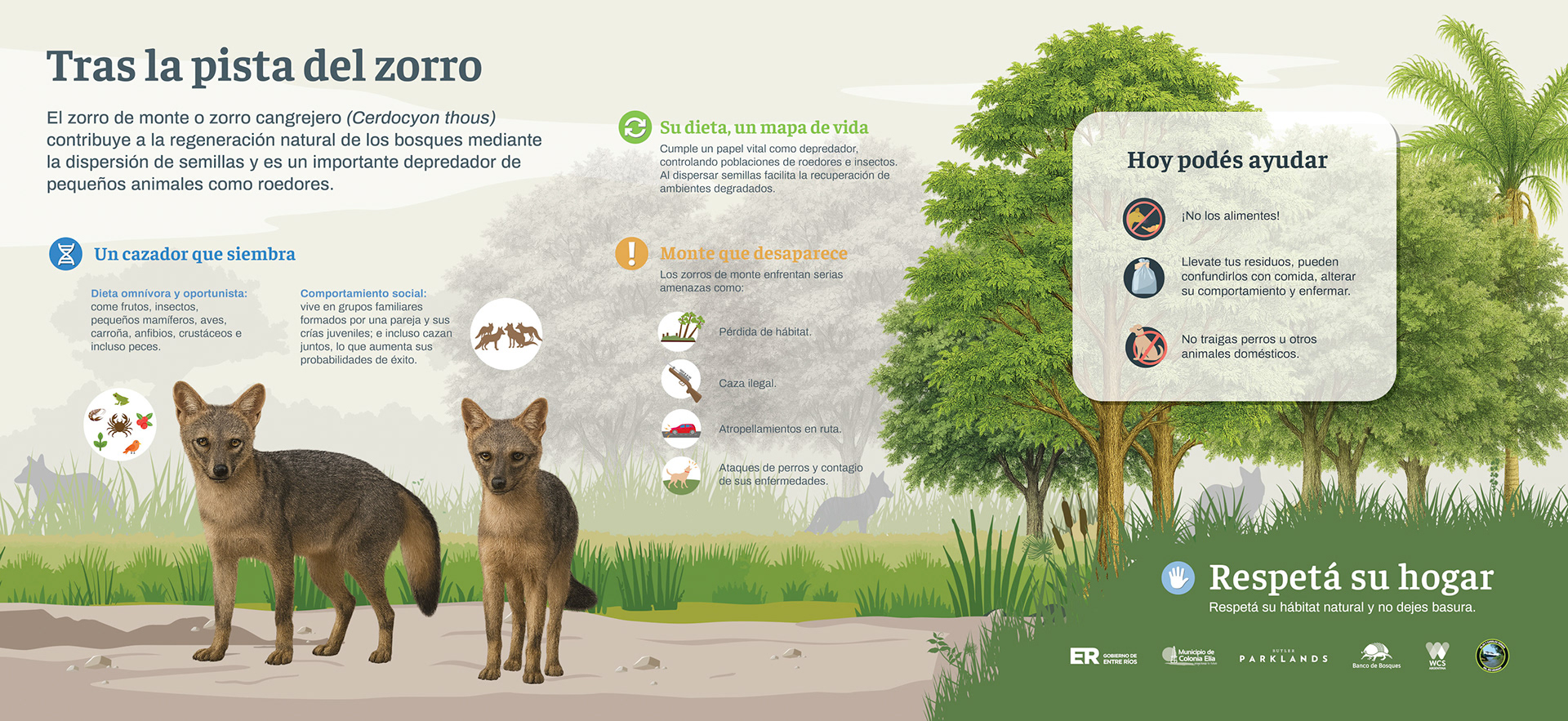 03 Zorro de monte-100x46cm copia