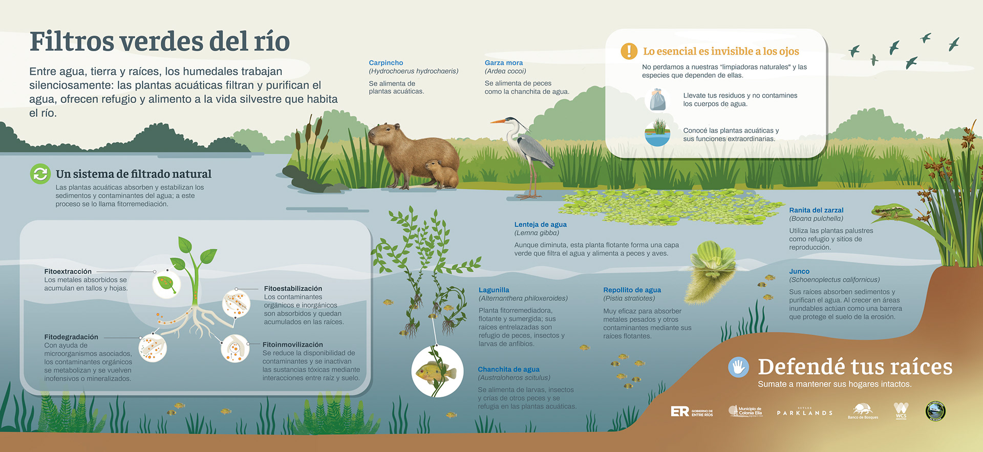 02 Filtros verdes del rio-100x46cm copia