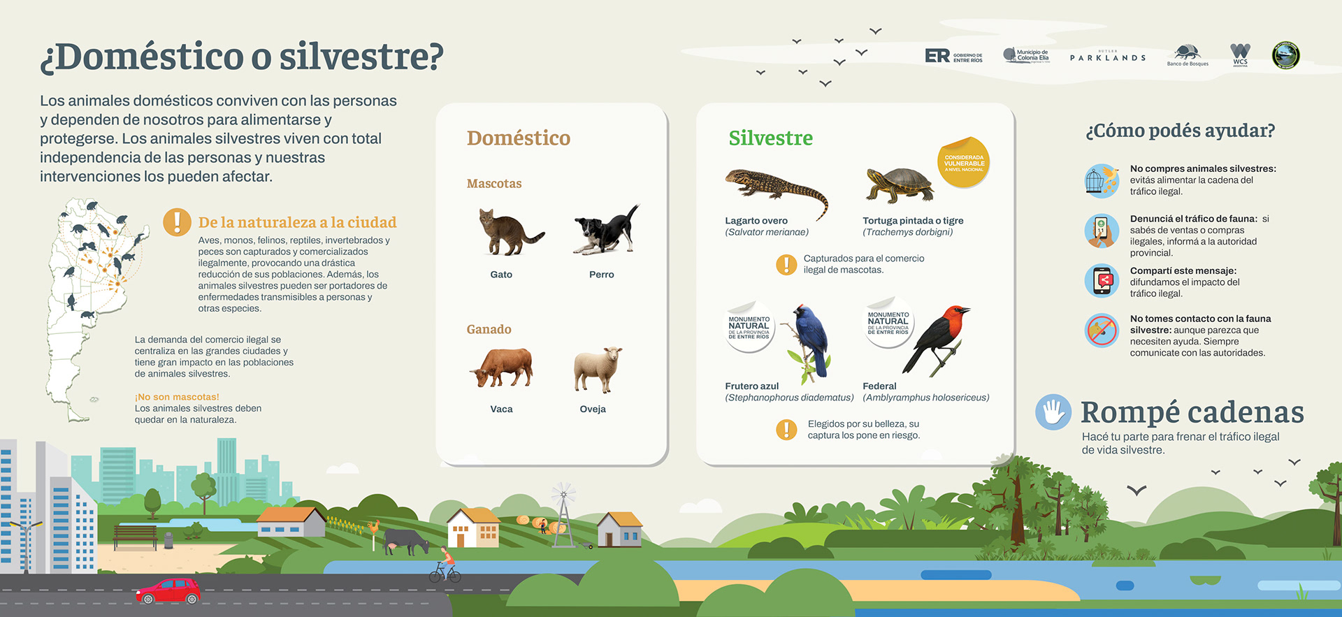 10 VF domestico vs silvestre copia