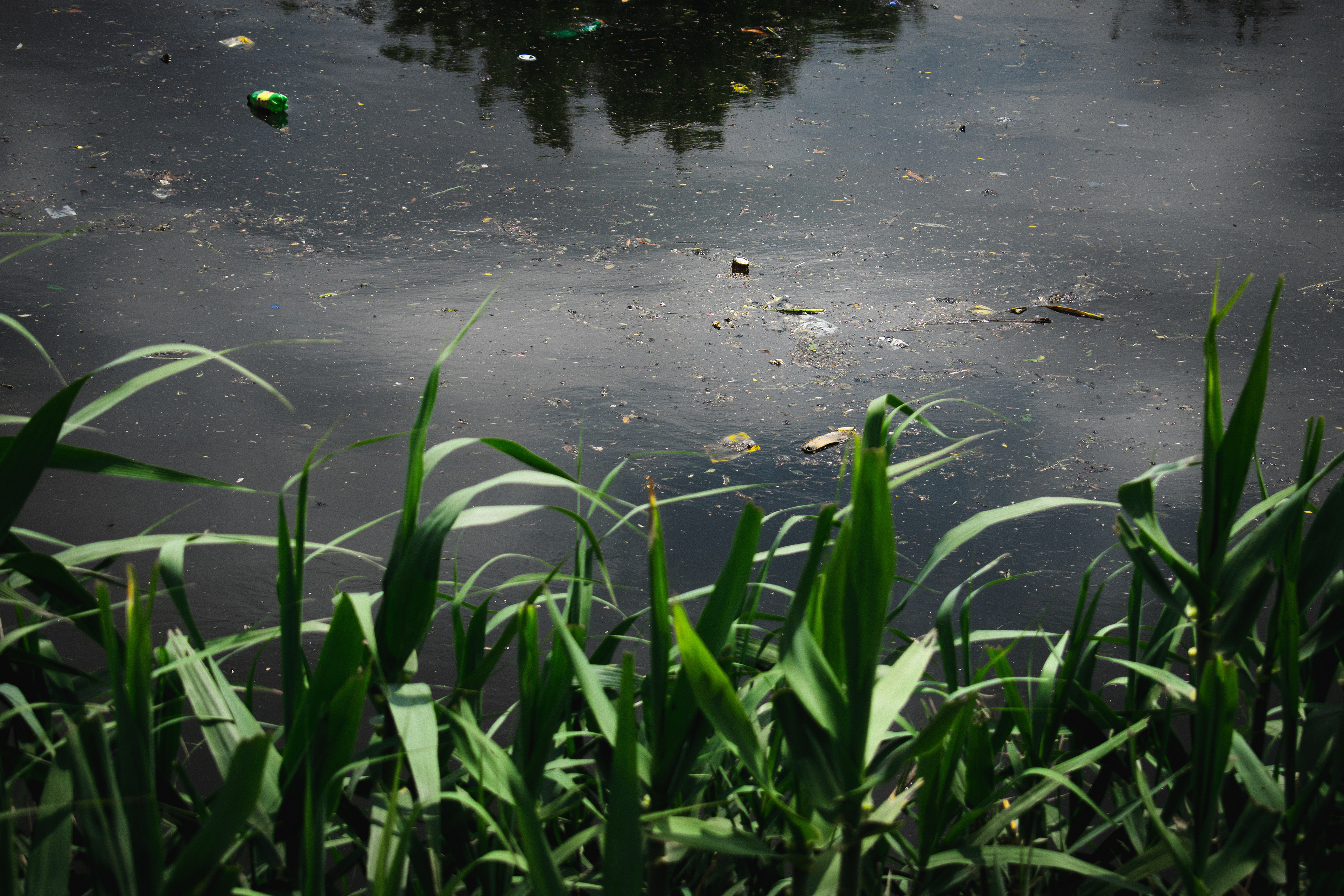 Toxic waste mixed with plastic bottles, trash and straws float with the water flow of the Riachuelo River. The 40-mile (64km) river served as the capital's dumping ground for more than 100 years, mid-19th century chroniclers described it as 'rotten' and has long been considered one of the most polluted rivers in the world.