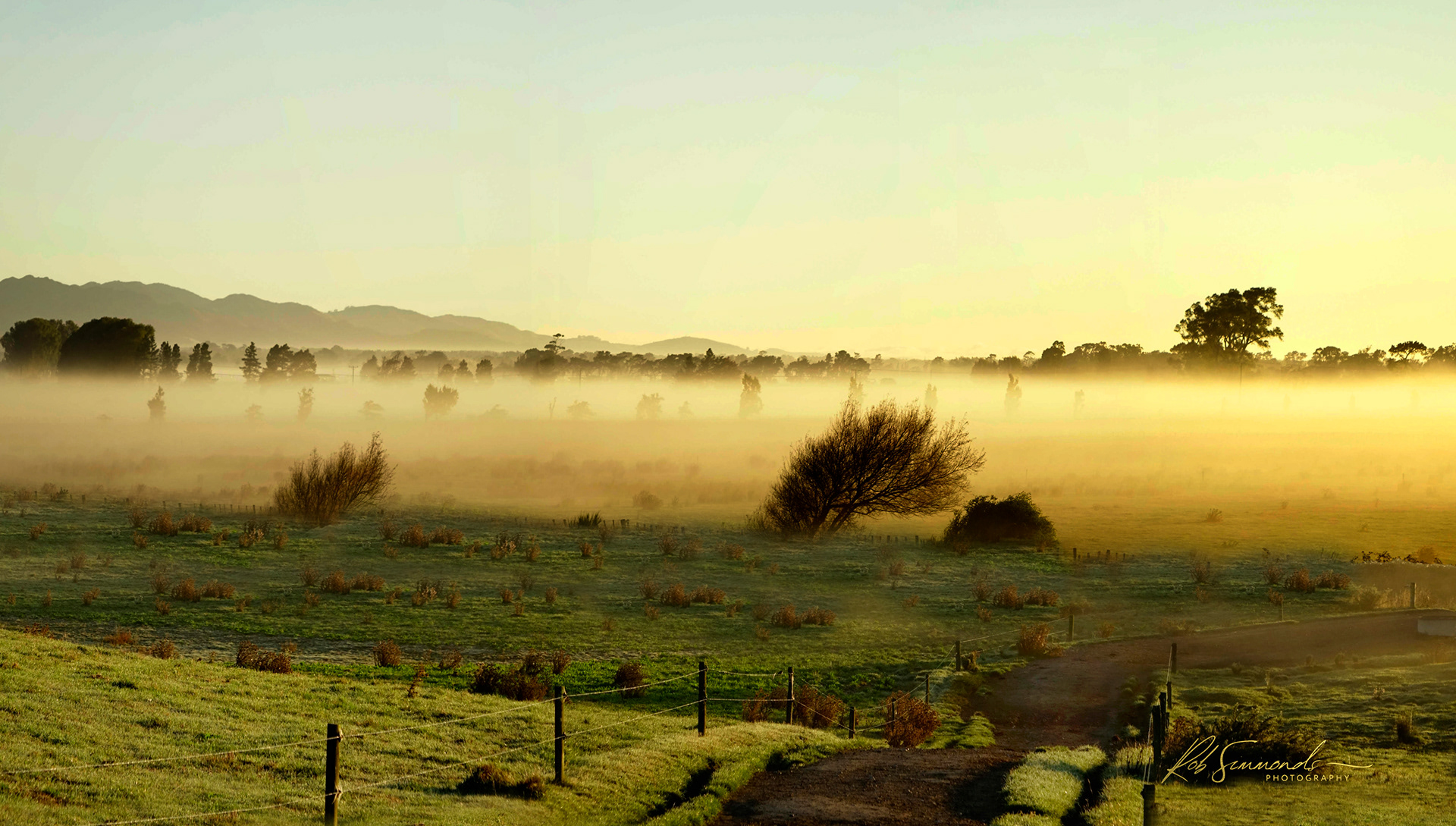 Rob SIMMONDS - New Zealand