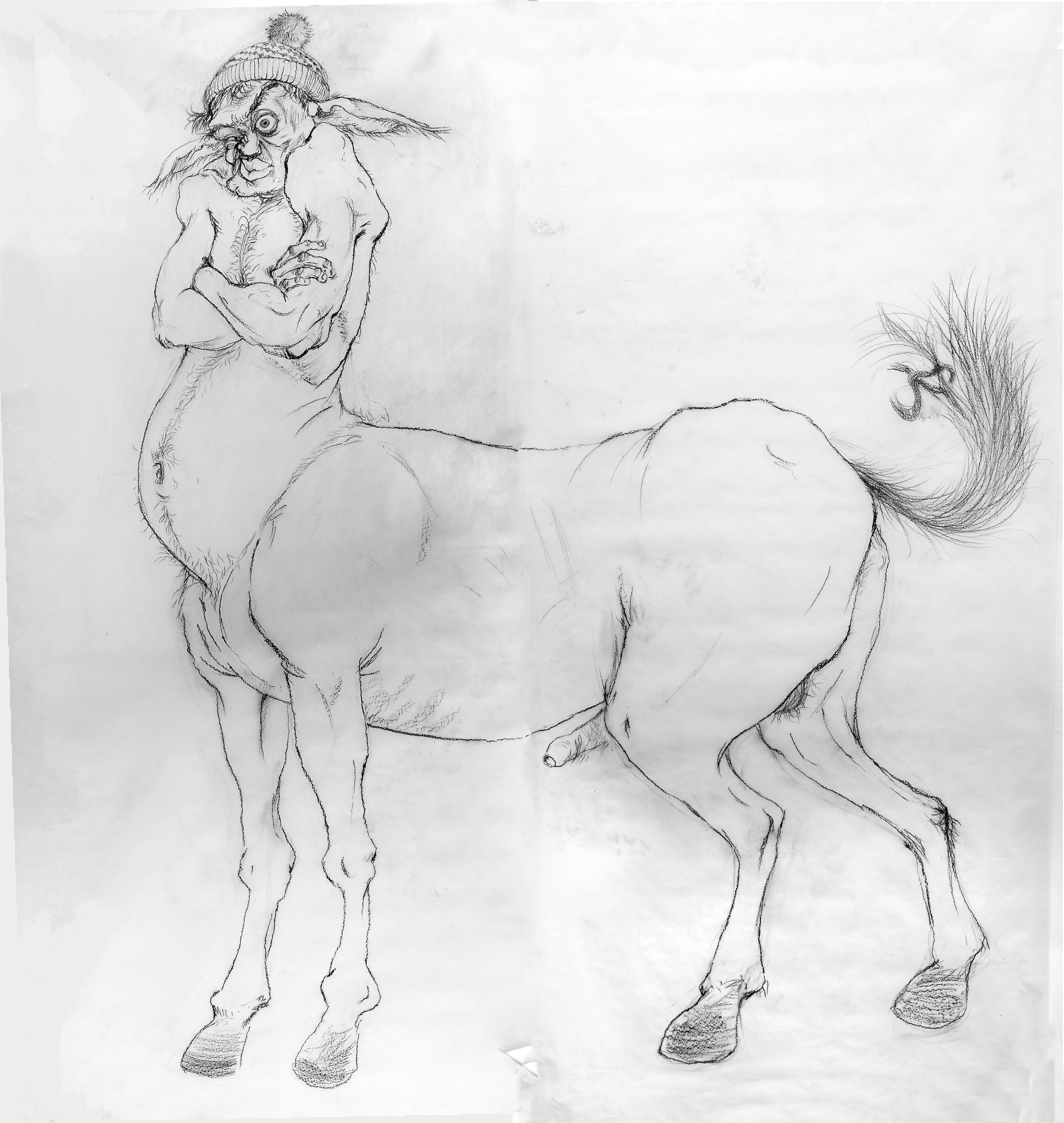 Centaur, graphite on transparent paper, 2x2m