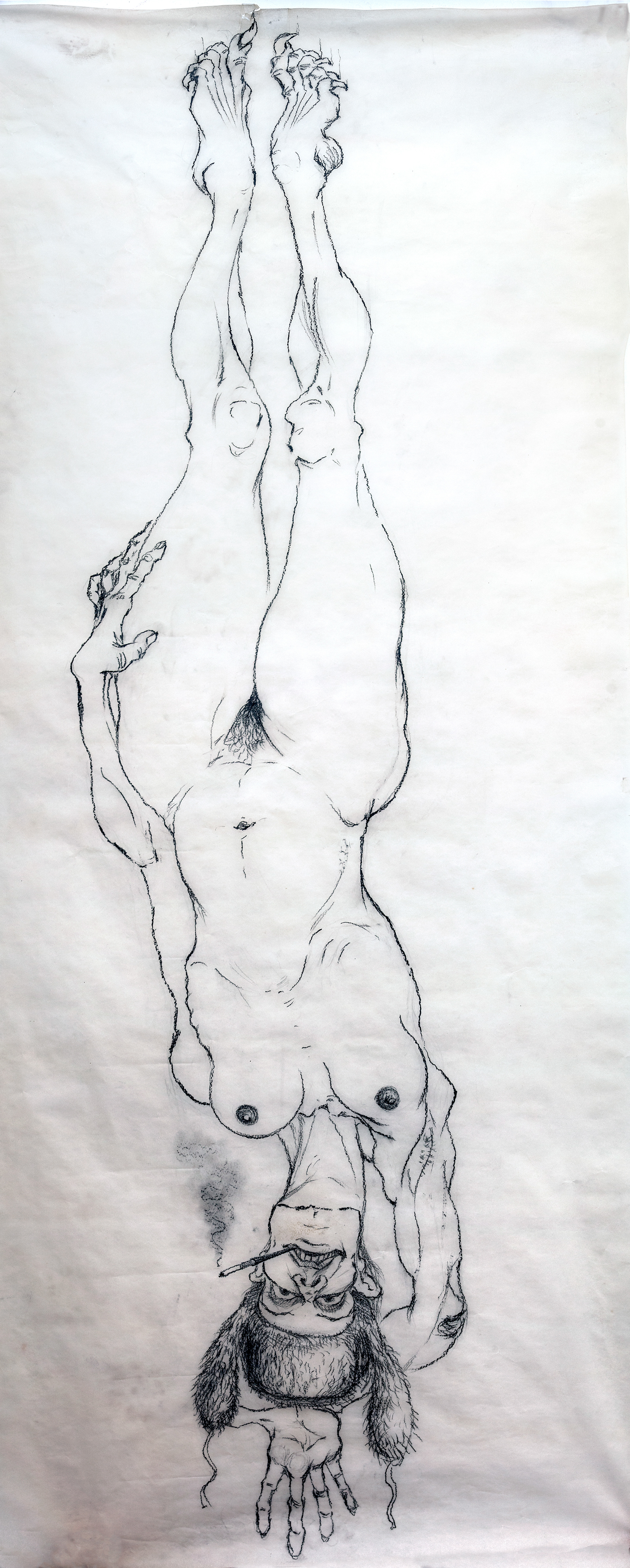 Hanging Hag, graphite on paper, 1x2m
