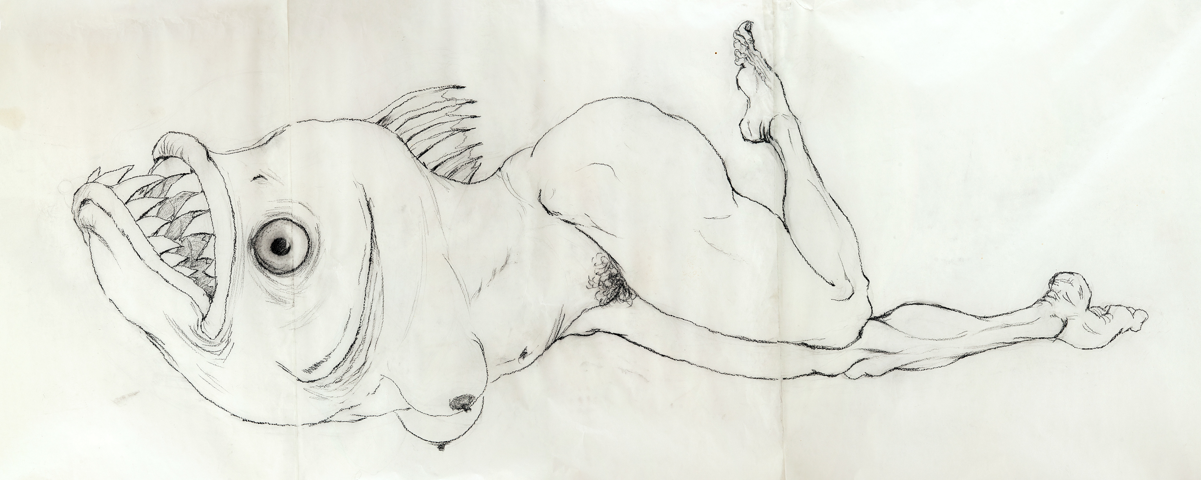 Mirmaid, graphite on paper, 1x3m