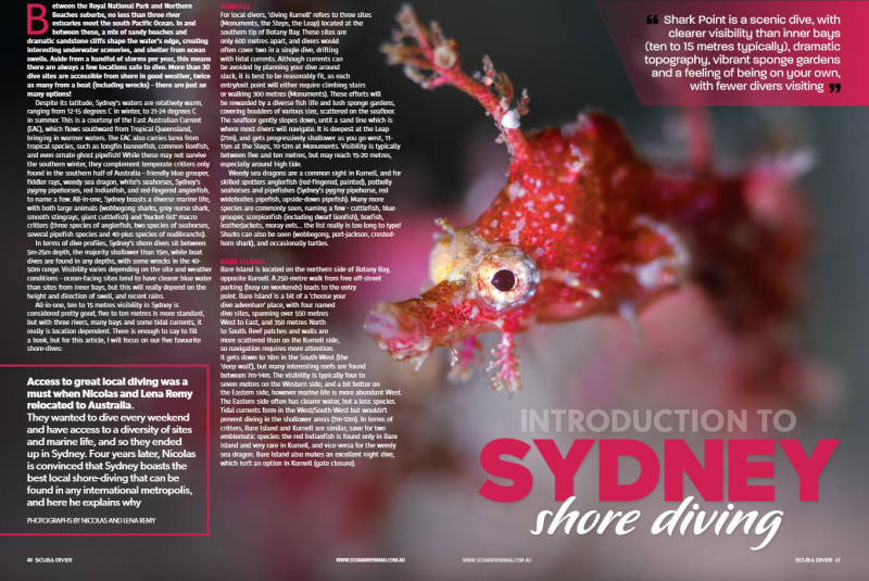Double page Lena REMY sydney pygmy pipehorse