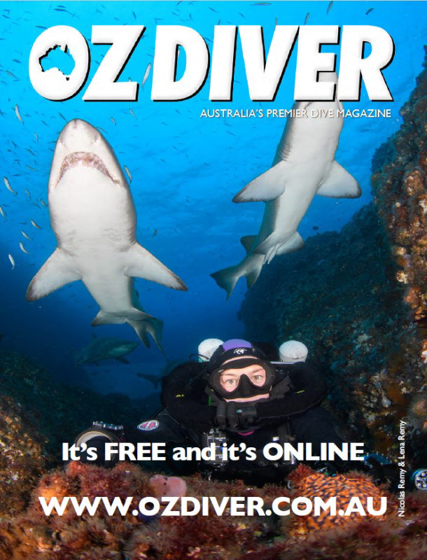 parting shot Sharks and rebreather diver Nicolas Remy