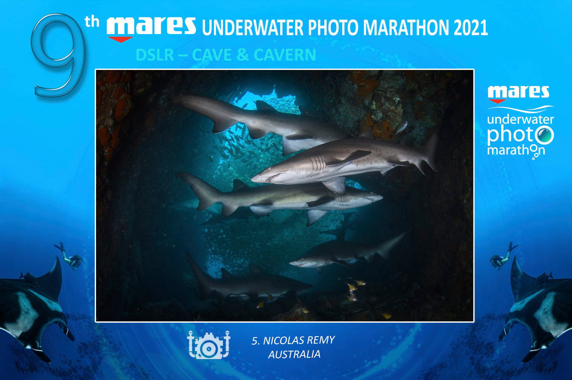 Sharks gathered in an ocean cave, South West Rocks