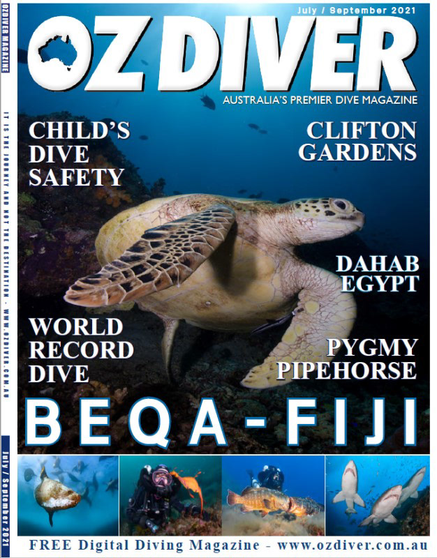 Cover shot turtle Nicolas Remy