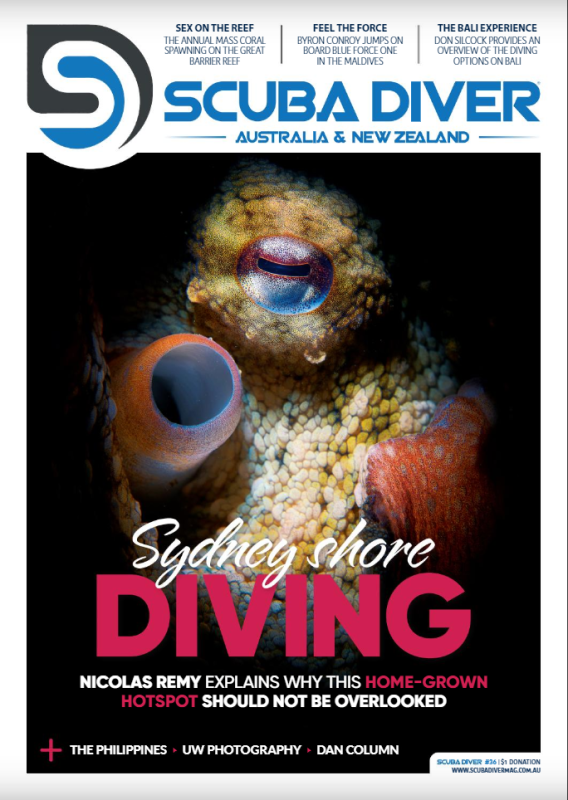cover shot Sydney diving Nicolas Remy