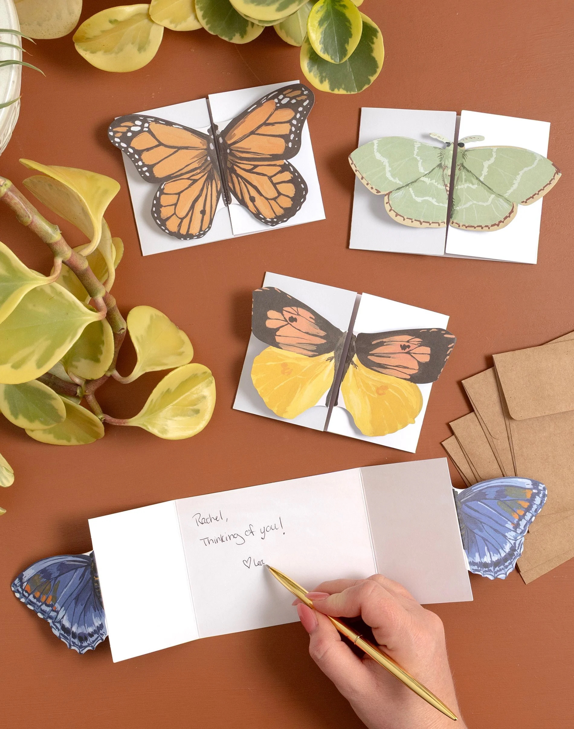 FLUTTER FRIENDS SPECIALTY GREETING CARD SET