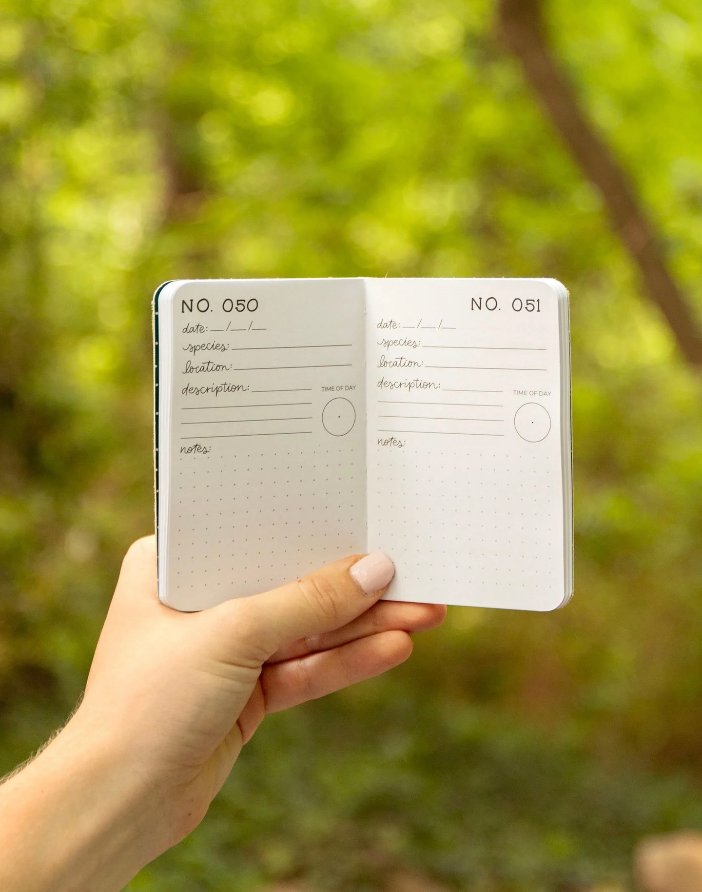 ONE HUNDRED BIRDS POCKET JOURNAL