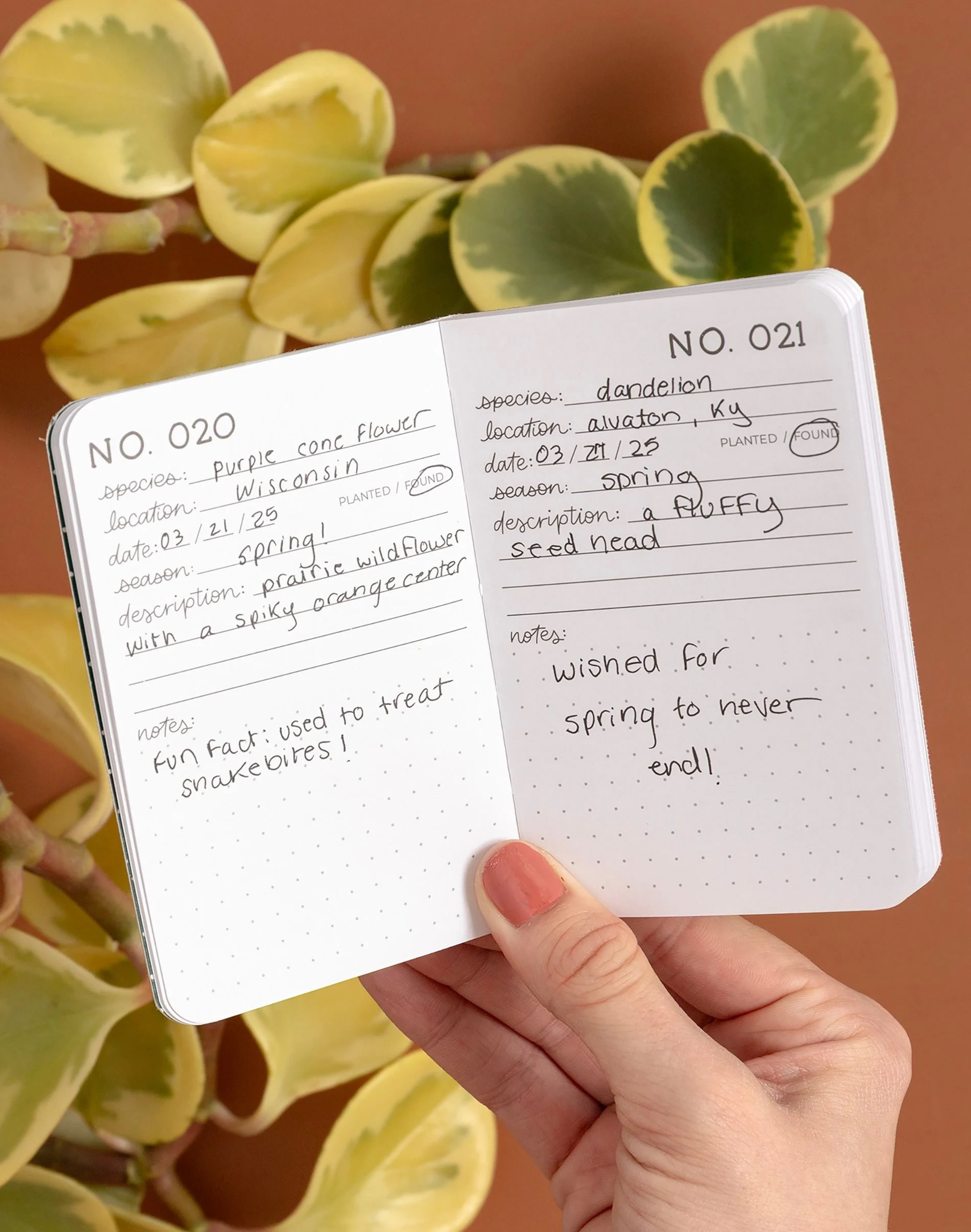 ONE HUNDRED PLANTS POCKET JOURNAL