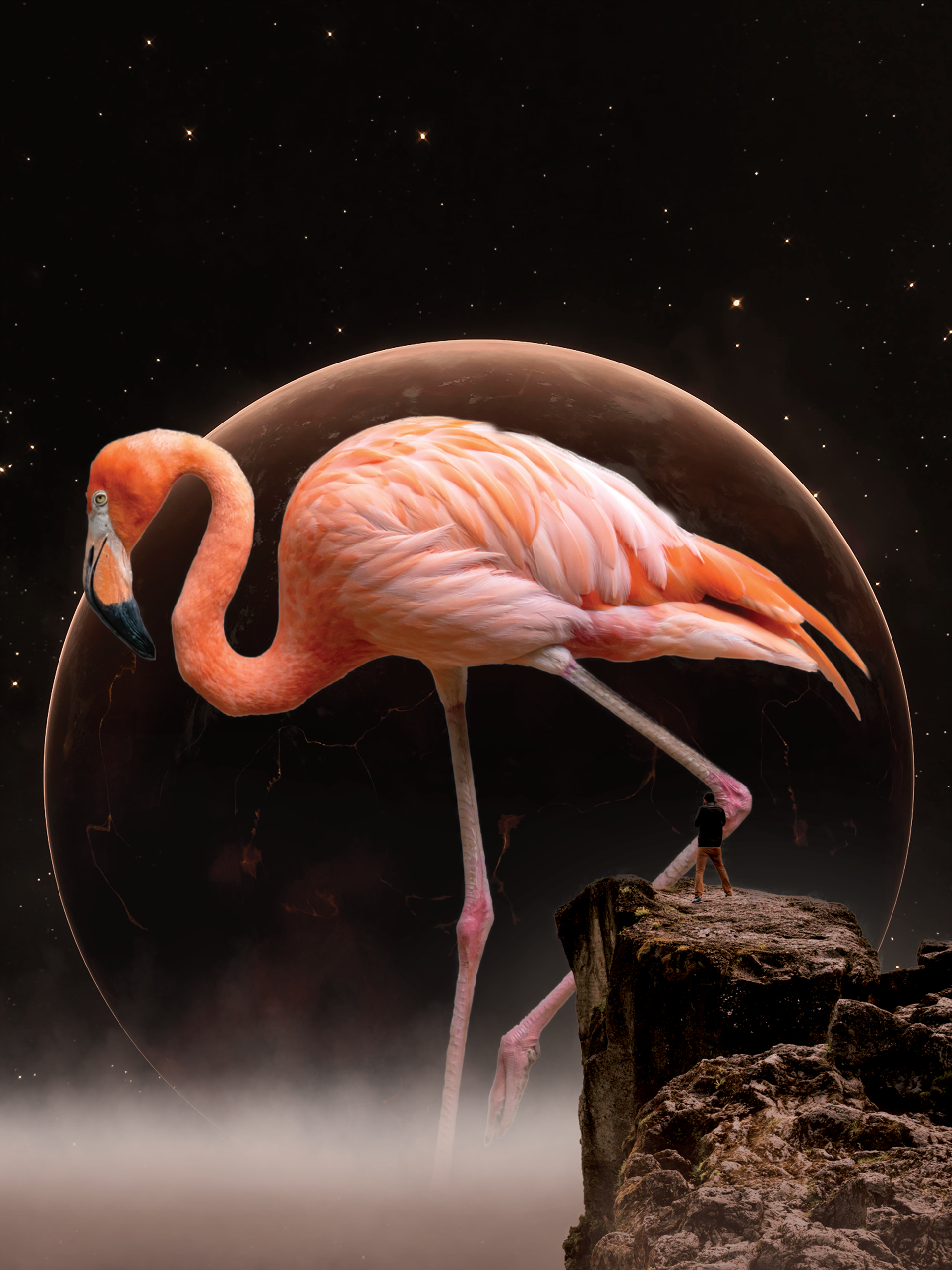 Planet Flamingo