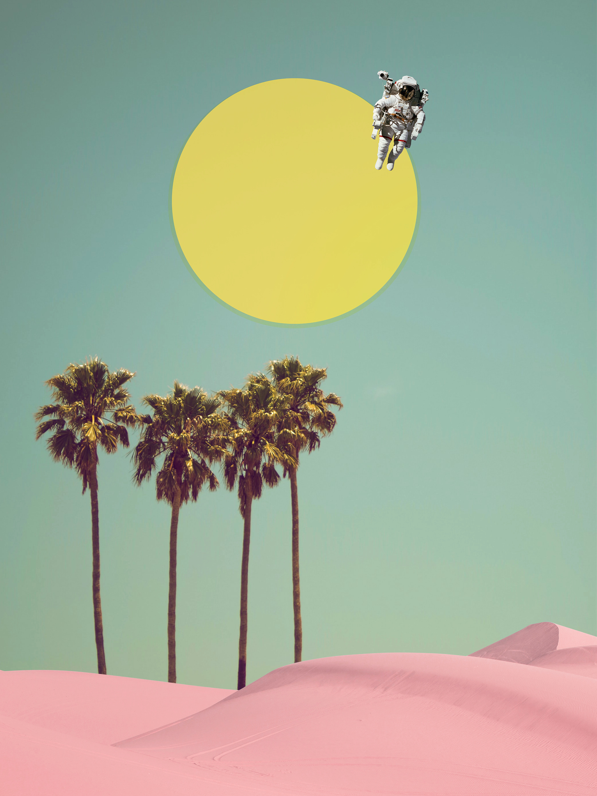 Palms