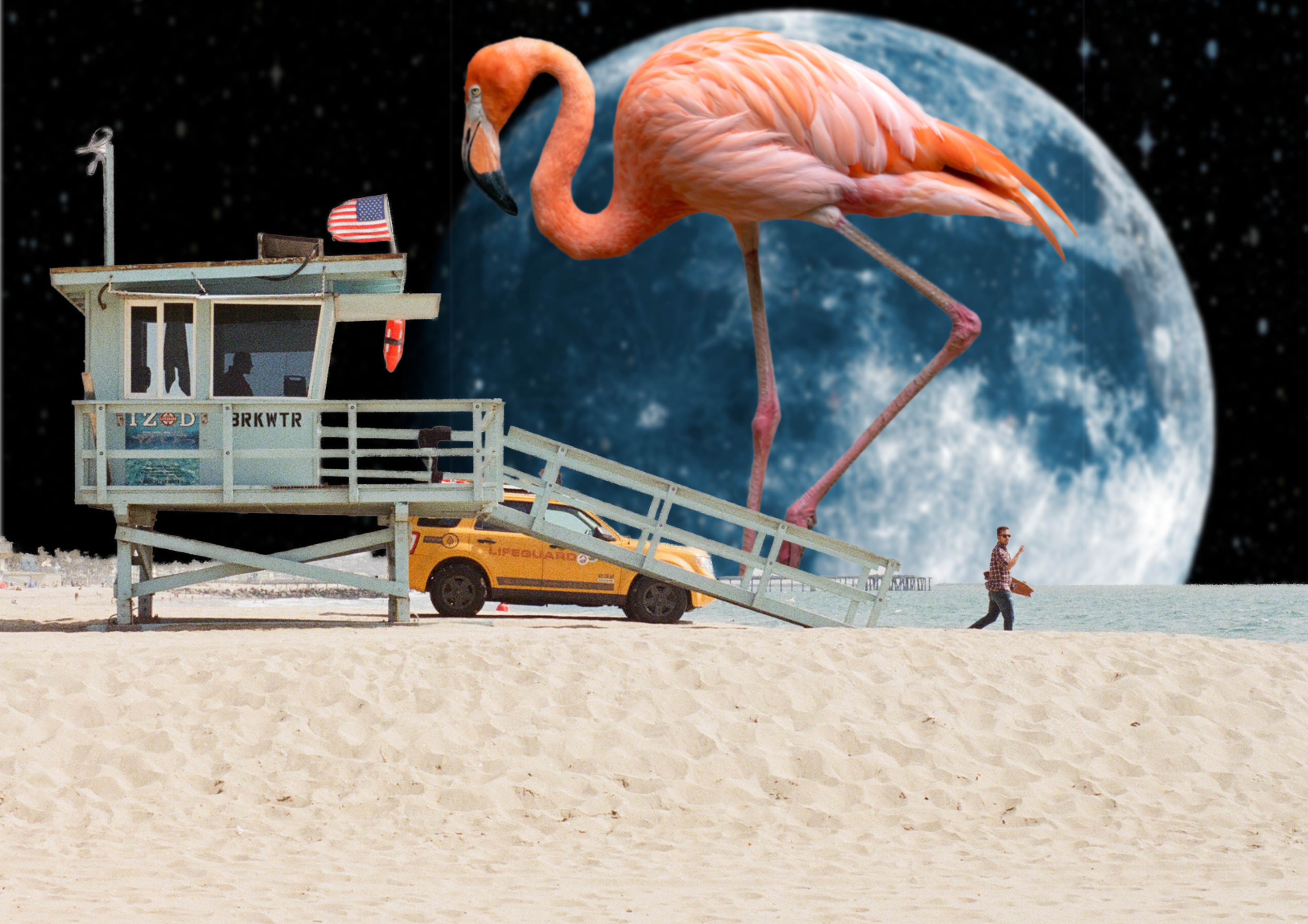 L.A. Lifeguard