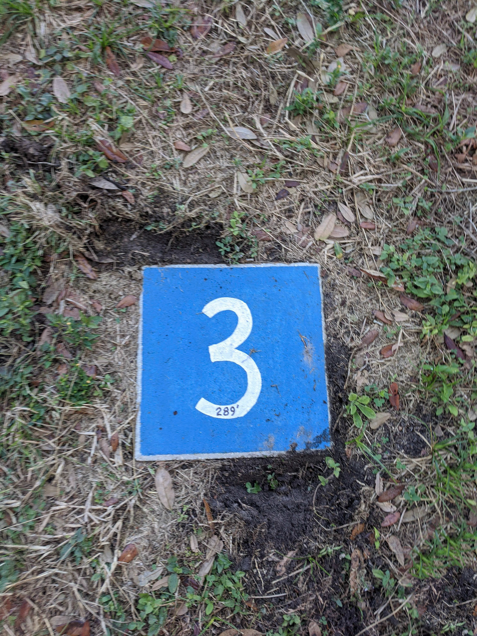 Blue 3, Par 4, is 289' to the Baskiet