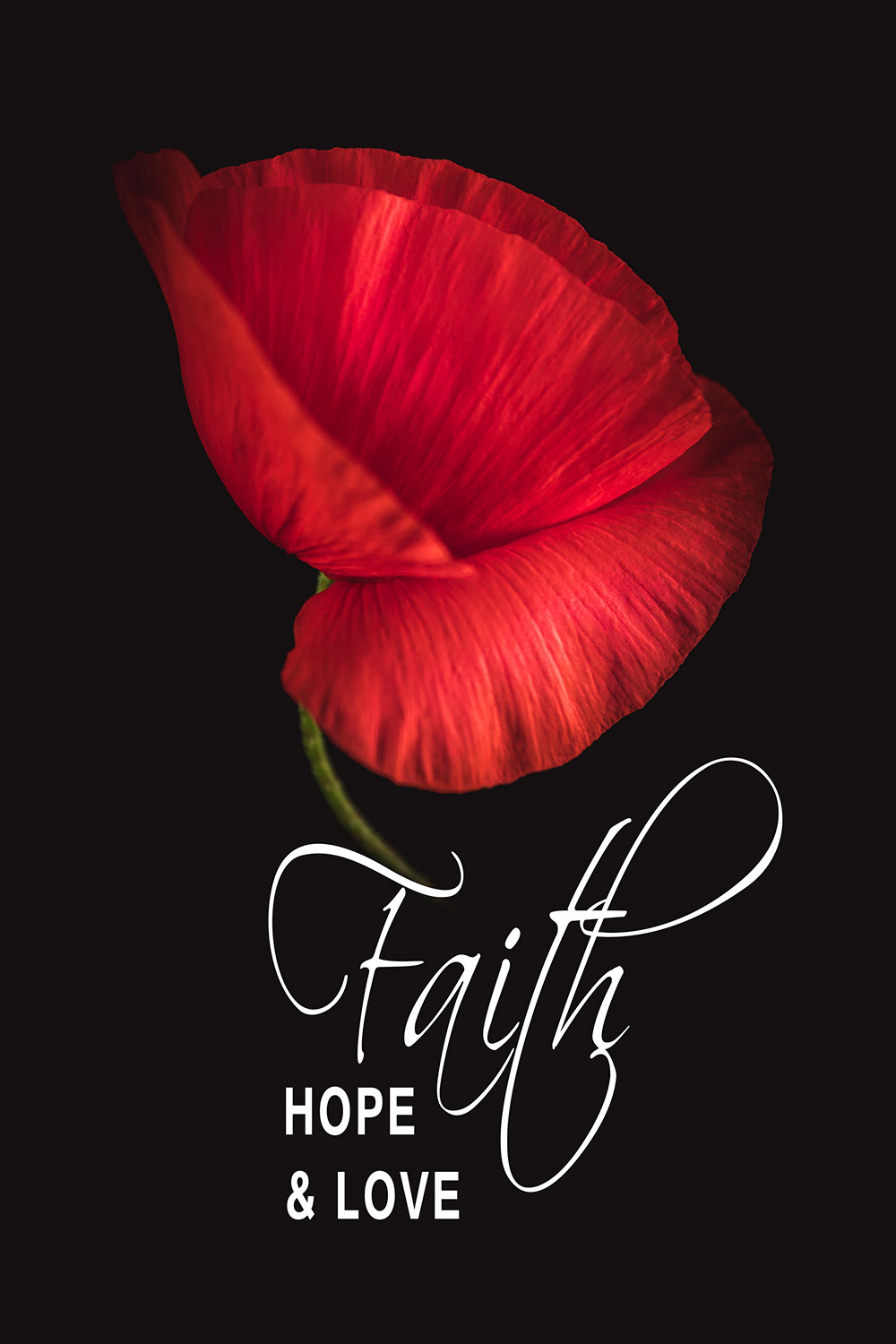 Faith Klaproos