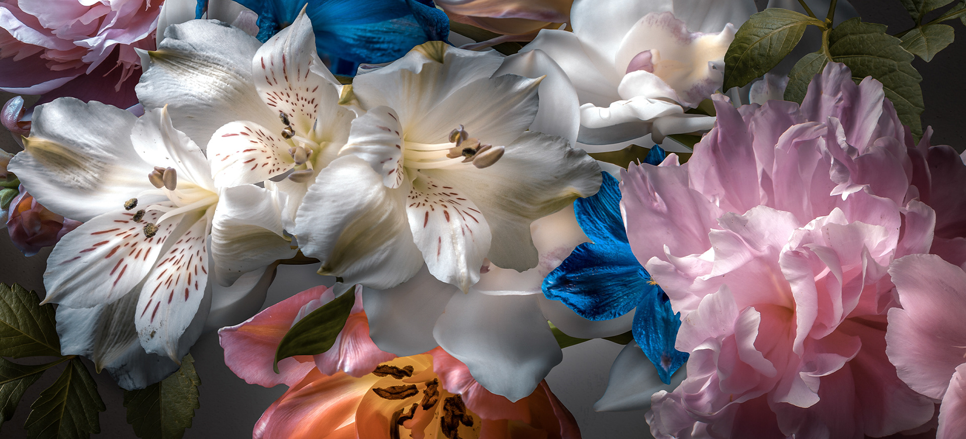 Shop Sandra Hazes Fotografie & Typografie