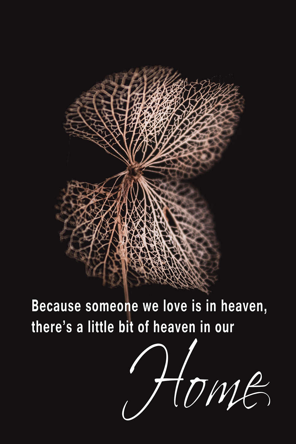 Heaven Home Hortensia