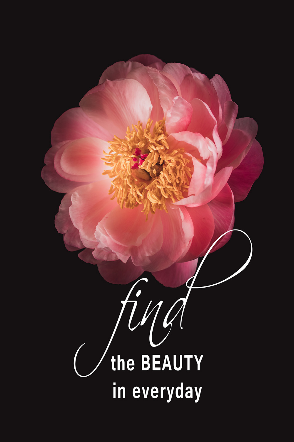 Find Beauty Pioenroos