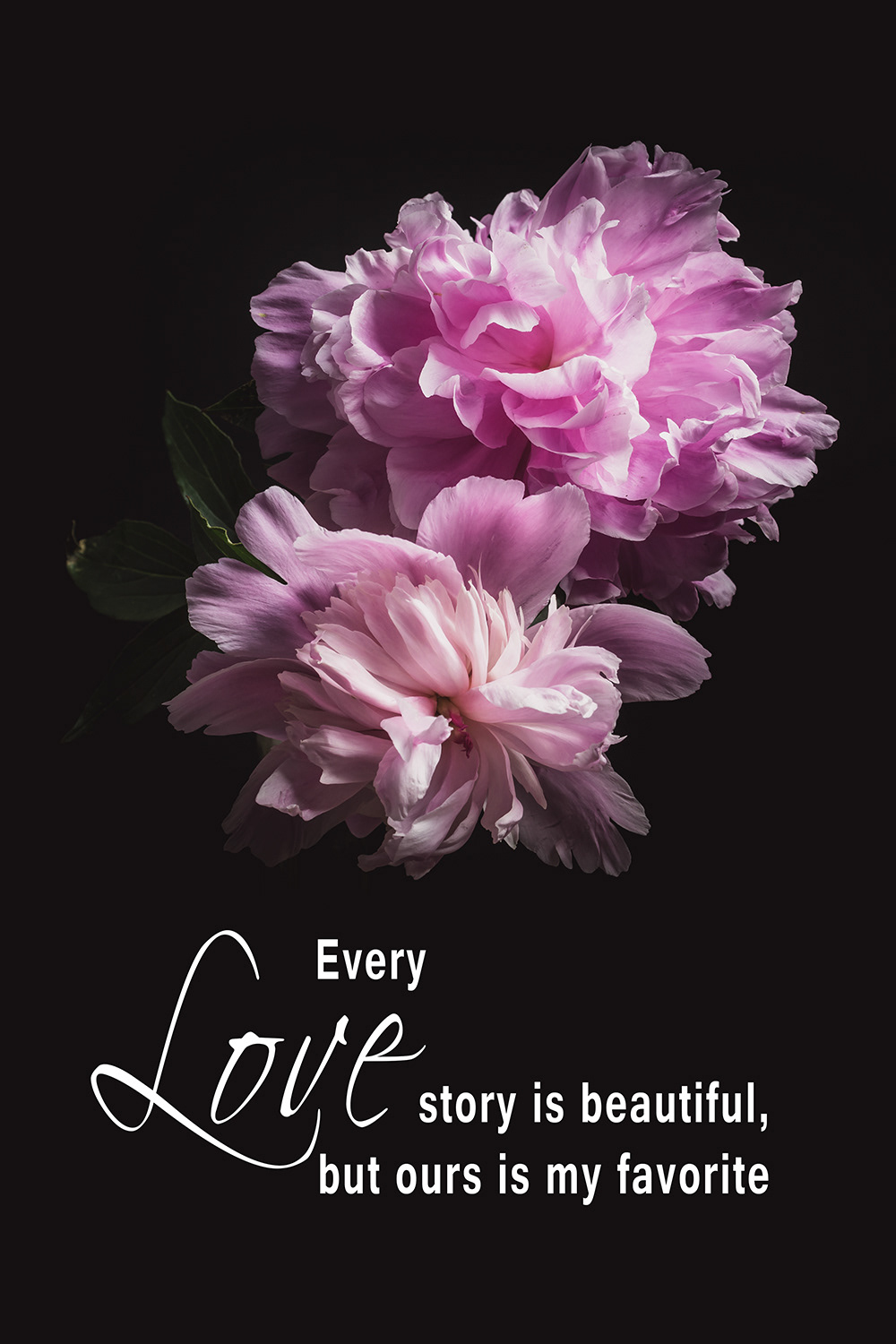 Love Story Pioenrozen