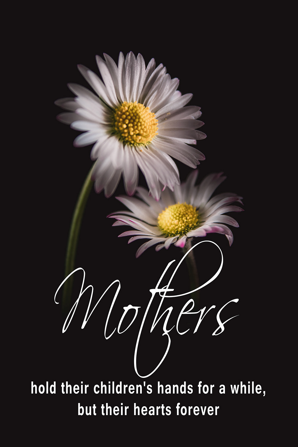 Mothers Madeliefjes