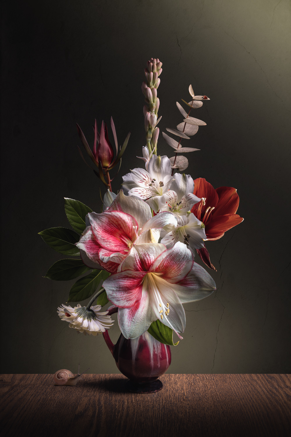 Amaryllis Stilleven