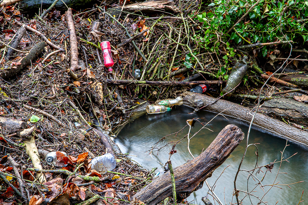 Anston Brook - Upstream