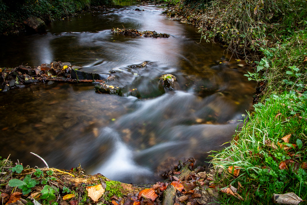 River Ryton - Shireoaks