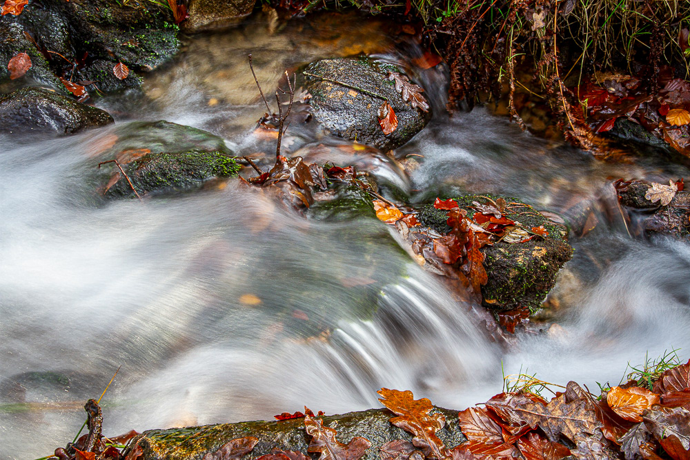 Stream on Longshaw Estate, Derbyshire.