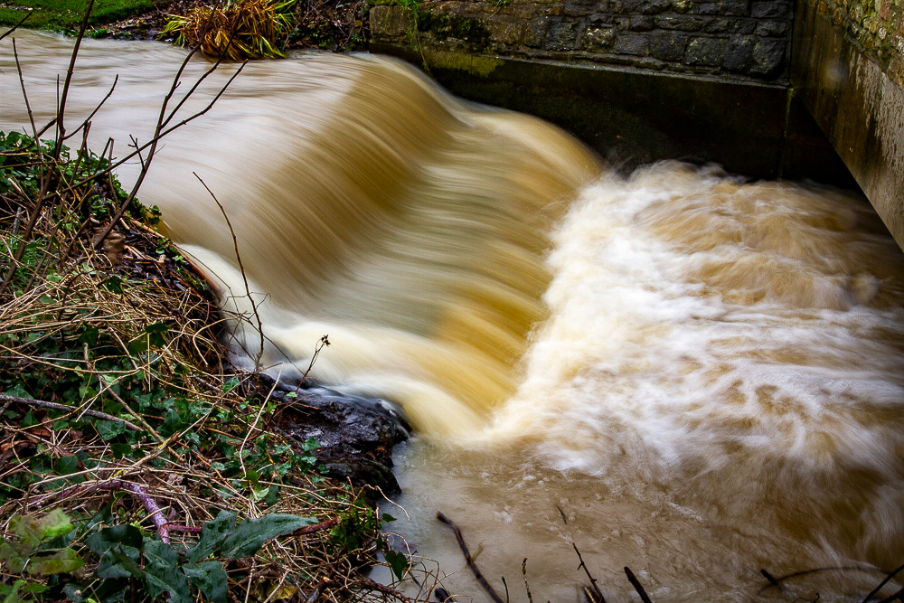 River Ryton floodwater