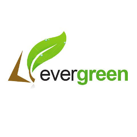 marchio Forevergreen