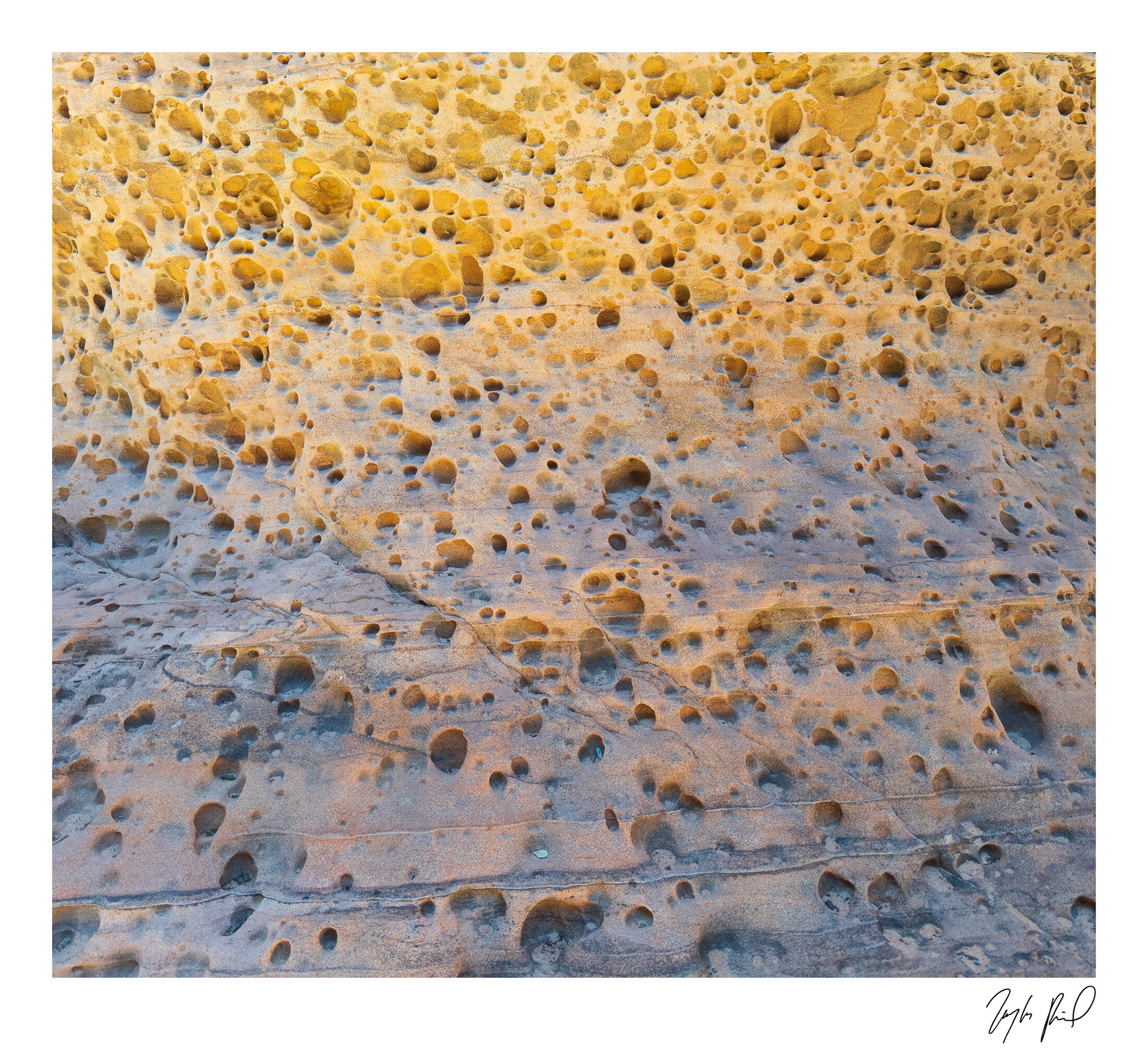 Tafoni. Southern UT.